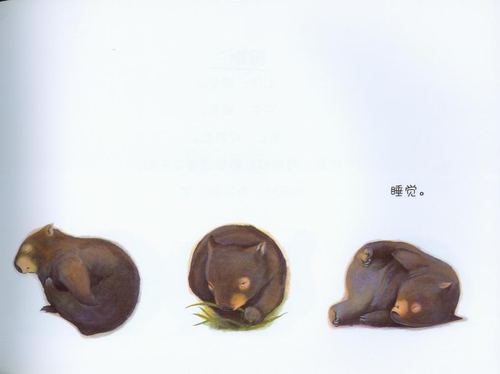 袋熊日记 (03),绘本,绘本故事,绘本阅读,故事书,童书,图画书,课外阅读